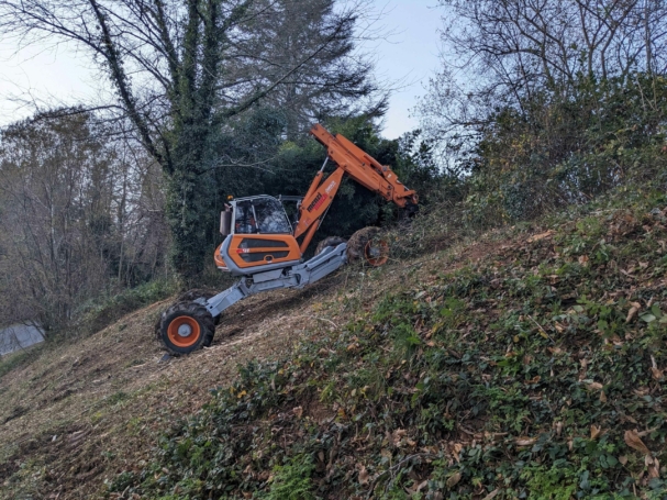 PXL_20241129_160416047