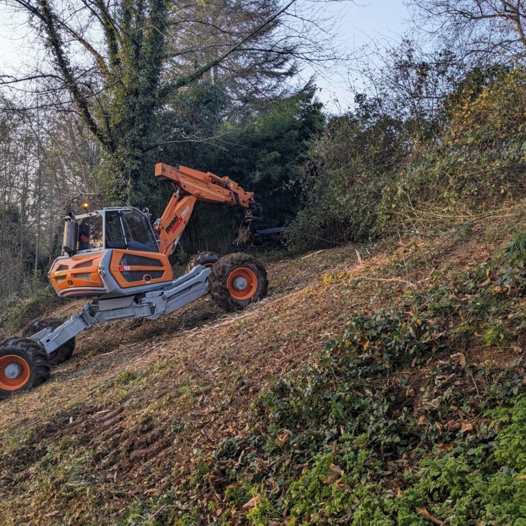 PXL_20241129_155618030