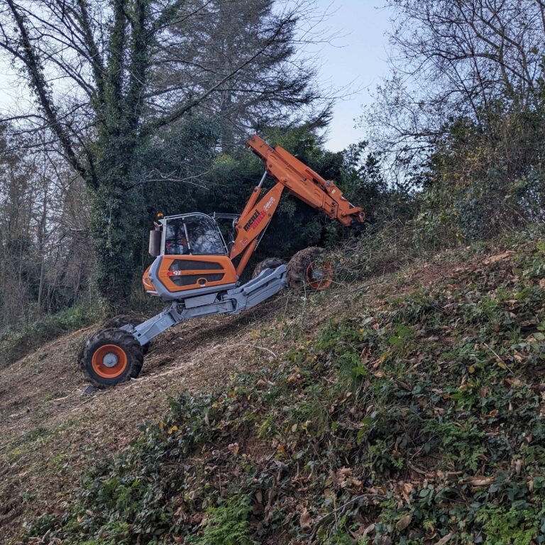 PXL_20241129_160416047