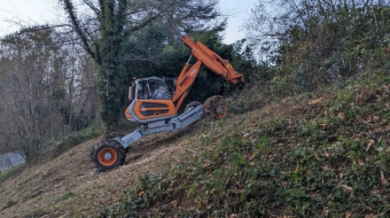 PXL_20241129_160416047