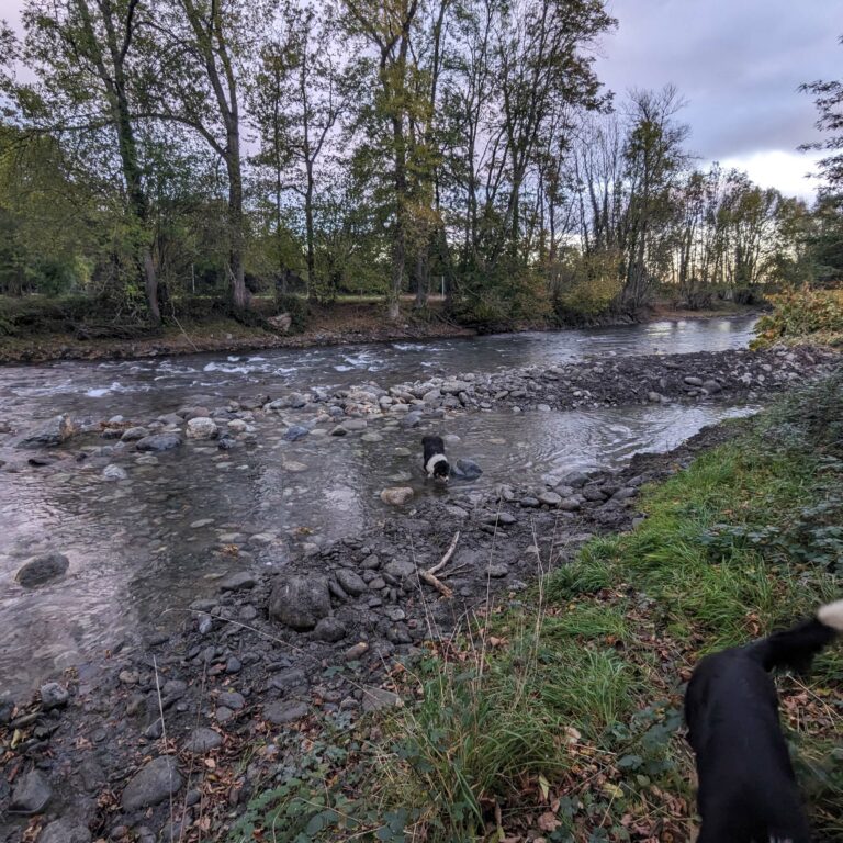 Réouverture du bras