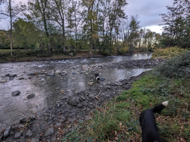 Réouverture du bras