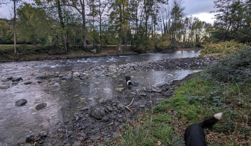 Réouverture du bras