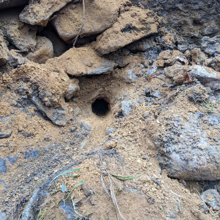 Forage dans la zone éboulée