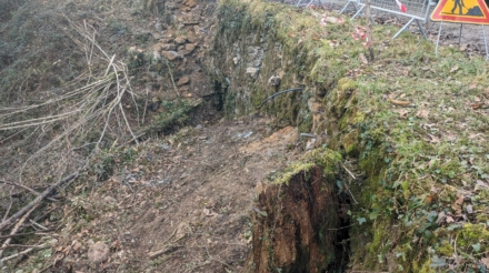 PXL_20260116_141106759