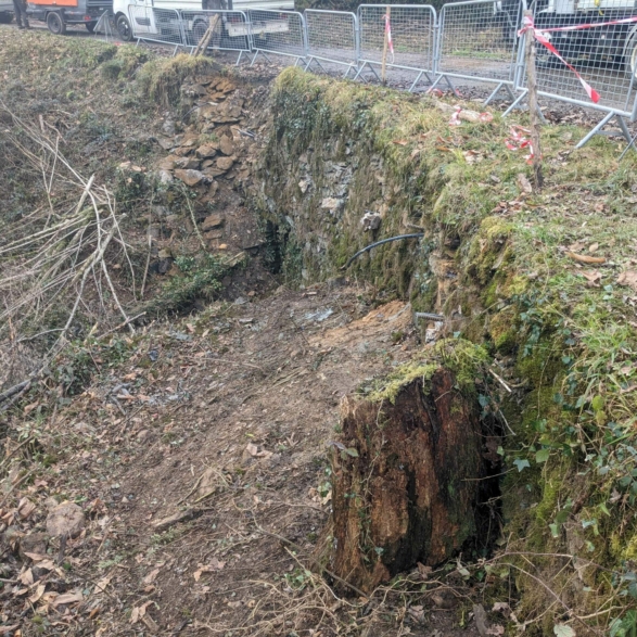 PXL_20260116_141106759