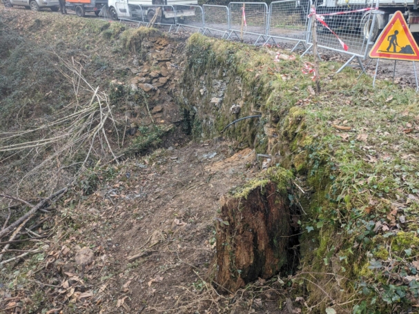 PXL_20260116_141106759