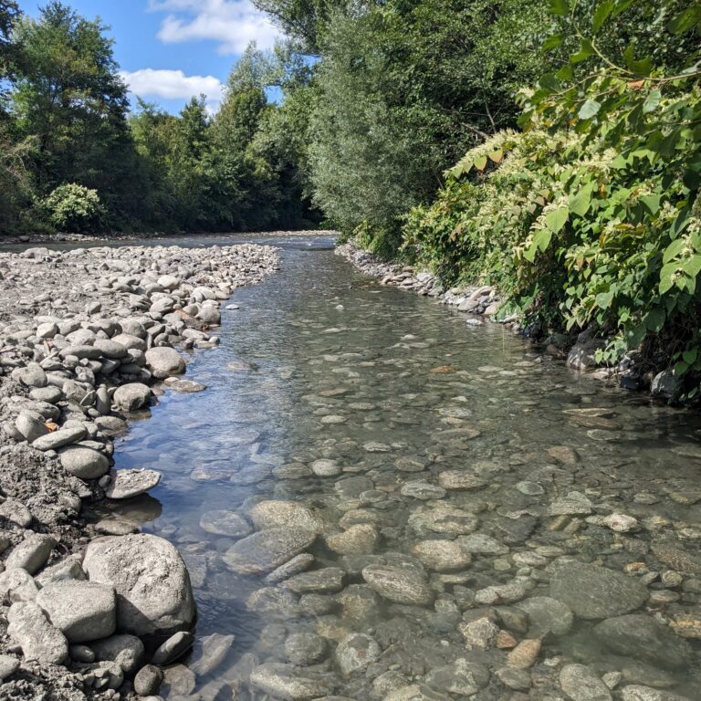 Fond du lit à la cote