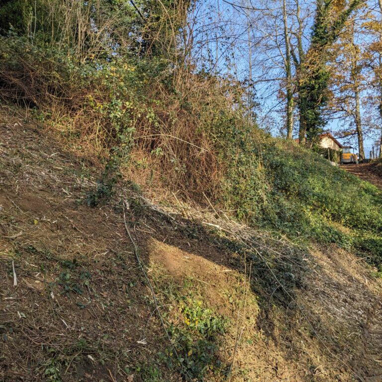 PXL_20241129_144731063