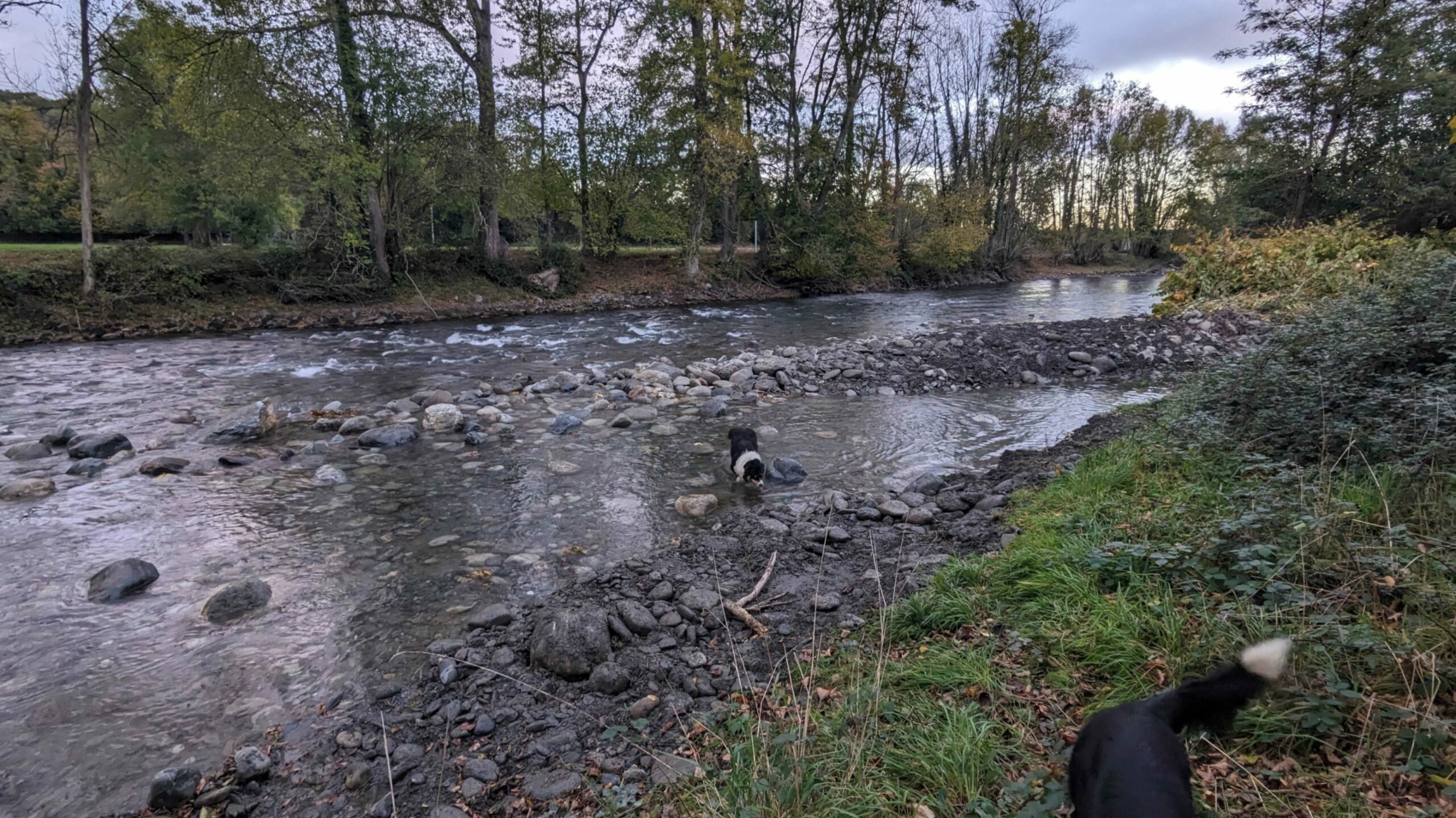 Réouverture du bras