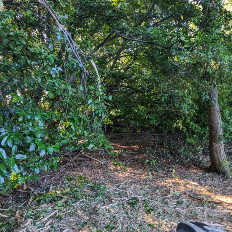 Chemin d'accès avant broyage